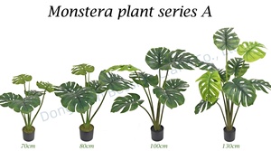 <span class=keywords><strong>Plante</strong></span> artificielle <span class=keywords><strong>Monstera</strong></span> <span class=keywords><strong>Variegata</strong></span> décorative Bossion, presque naturelle, verte, 1,5 m - Product Image 5