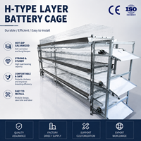 Cage à poules pondeuses de type H avec système de gestion automatique, équipement avicole, gestion automatique