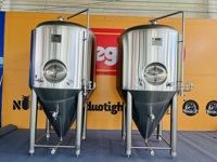 Cuve de Fermentation Conique Personnalisable de Haute Qualité 5BBL en Acier Inoxydable 304 de Qualité Alimentaire, Fermenteur Pressurisé