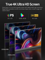 Moniteur portable IPS HDR 17.3 SRGB rétroéclairé OLED 4K UHD de 100% pouces avec USB-C pour le hub pour les jeux et les affaires Commandes en gros personnalisées