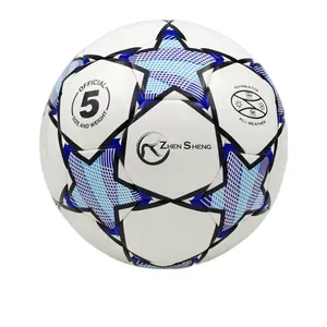 Zhensheng özel logo deri boyutu 5 futbol futbol topları