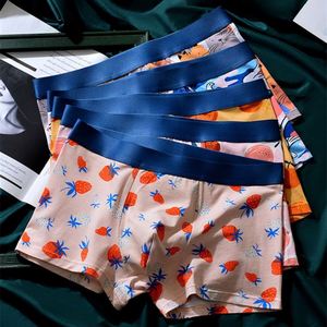 Sous-vêtements pour hommes à imprimé fruité, taille confortable, respirants, en coton modal, boxers pour garçons, vente en gros - Product Image 3