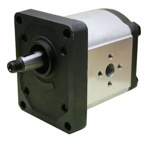 Oil oil hydraulic gear pump 20c20x016 serie europe standard standard available for group2 gearbox 60000