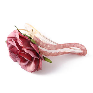 Pinces à cheveux en plastique multicolores en forme de bec de canard, style simple, accessoires pour cheveux mi-liaqués pour femmes - Product Image 5