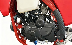 รถมอเตอร์ไซค์วิบาก PR 300cc 4 จังหวะ ระบายความร้อนด้วยอากาศ สูบเดียว 21 แรงม้า รุ่น Off-Road <span class=keywords><strong>King</strong></span> ระบบกันสะเทือนปรับได้สองระดับ+โครงโครโมลี่ ลดราคาพิเศษ - Product Image 3