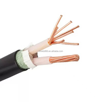 Cu/XLPE/PVC 4mm² 2-adriges unarmiertes N2xy Kupfer-Stromkabel U-1000 R2V Kabel