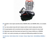 Ensemble moteur de moto 250cc 300cc refroidi par air 4 soupapes CB250RL CB300RL avec arbre d'équilibrage intégré 6 vitesses monocylindre