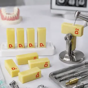 Modelo de Bloque de Hueso Simulado Dental de Resina y Madera para Práctica de Implantes, Enseñanza y Entrenamiento Anatómico para Estudiantes de Odontología - Product Image 3