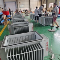 Transformateur triphasé immergé dans l'huile 10 kV 35 kV 480 V pour système de distribution d'énergie industrielle haute efficacité S13 S22