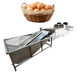 Máquina Motorizada de Acero Inoxidable para Lavar y Secar Huevos con Capacidad de 500 Piezas/min para Fábricas de Alimentos y Servicios de Catering Comercial - Product Image 1
