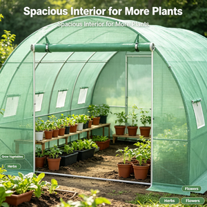 Invernadero Agrícola de Polietileno de Una Sola Capa para Cultivo de Vegetales - Product Image 3