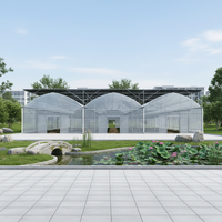 Moderne geautomatiseerde irrigatie multi-span foliekas geschikt voor de teelt van bloemen, fruit en groenten