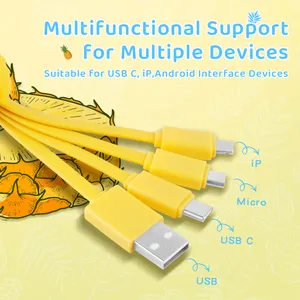 سلك شاحن 3 في 1 مصنوع من نبات الأناناس متعدد المنافذ سلسلة مفاتيح سلك شحن 3 في 1 USB