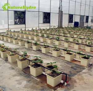 Plastic Hydroponic Dutch Buckets With Lids Grow System For Sale