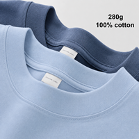 T-shirt vierge personnalisé en coton biologique épais 230 GSM, col rond, coupe oversize, pour homme, imprimé, grandes tailles, streetwear, vente en gros OEM