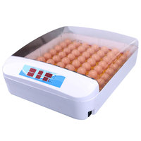 Incubateur automatique pour œufs de caille 55 avec certificat CE, couveuse, appareil commercial, certification CE