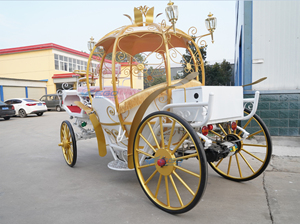 Carruaje de Cenicienta en Venta, Transporte Especial, Carruaje de Fantasía de Princesa Calabaza, Carruaje Eléctrico en Venta - Product Image 5