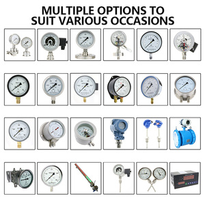 หม้อไอน้ำอุตสาหกรรมสแตนเลสทนการกัดกร่อน พร้อมเทอร์โมมิเตอร์ไบเมทัลลิกส์ส่งสัญญาณระยะไกล 4-20mA - Product Image 6