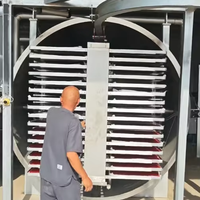 Industriële vriesdroogmachine vacuümlyofilisator apparatuur voor het drogen van voedsel, fruit en groenten, fabrieksprijs