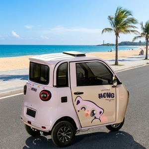 Tricycle <span class=keywords><strong>électrique</strong></span> fermé à deux portes pour usage domestique, destiné aux personnes âgées et aux femmes comme <span class=keywords><strong>moyen</strong></span> <span class=keywords><strong>de</strong></span> <span class=keywords><strong>transport</strong></span> - Product Image 6