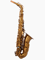 Saxophone alto finition laquée or champagne, modèle professionnel, corps en laiton réglable, tonalité Eb, Taishan TSAS-T6X