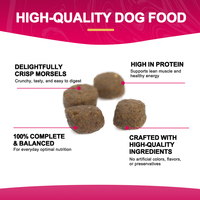 Nourriture sèche pour chiens de haute qualité, ingrédients naturels, nourriture sèche saine et croustillante pour l'alimentation quotidienne de toutes les races de chiens