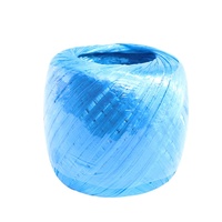 Guirlande à brer, corde plastique colorée en Polyester et Nylon, 500 m, pour emballage