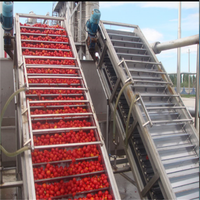 Automatische tomatenpuree-saus productielijn 220V/380V roestvrij staal fruit- en groenteverwerkingslijn op maat gemaakte capaciteit