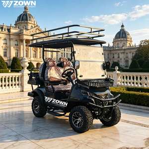 Carro de Golf Eléctrico Compacto para 4 Pasajeros, Carro Turístico de Baja Velocidad para Uso en Villas y Comunidades - Product Image 1