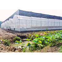 Serre en polyéthylène UV 200 microns tissu de revêtement en plastique pour tunnel agricole Film de ventilation latérale à effet de serre