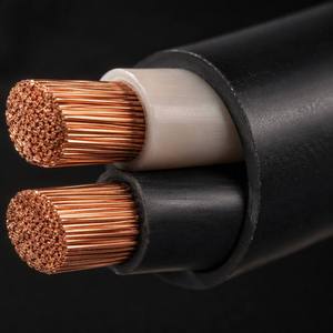 Cable de PVC PrimePro con Núcleo de Cobre Puro ZR-YJV 2*10 16 25 <span class=keywords><strong>mm</strong></span>, Cable de Alimentación de Bajo Voltaje con Aislamiento XLPE - Product Image 2