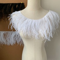 Plumes d'autruche teintées et lavées, directement de l'usine, pour robes de haute couture, garnitures en dentelle, accessoires vestimentaires et tenues de danse de performance