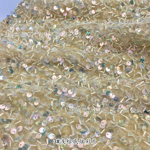 Tessuto in <span class=keywords><strong>Velluto</strong></span> Intrecciato da 5mm con Ricamo di Paillettes su Rete per Abbigliamento Femminile, Scarpe, Borse, Uso per Ragazze/Ragazzi in Poliestere - Product Image 3