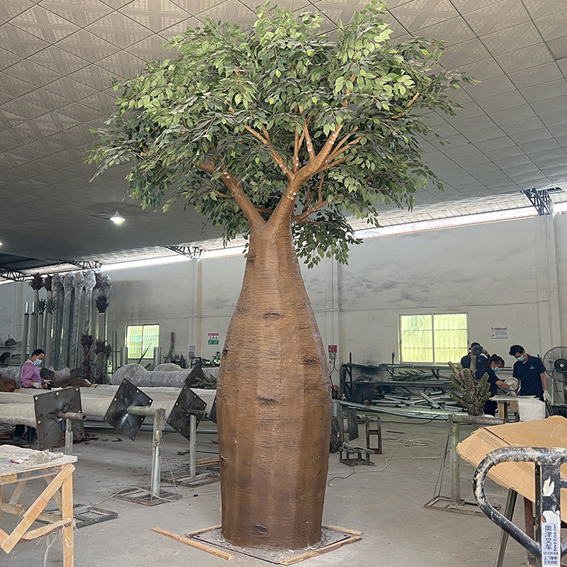 arbre baobab