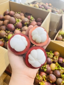 Mangostán Congelado IQF Premium 100% Pulpa Blanca - Venta al por Mayor Directa de Fábrica para la Industria Alimentaria // Sra. Reina - Product Image 1