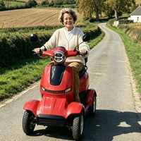 Scooter électrique à quatre roues certifié EEC Skyblue Hotsale 25 km/h pour personnes âgées avec siège réglable