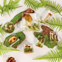 Petits spécimens de plantes séchées pour taxidermie, décoration biologique, champignons, artisanat en résine fait main