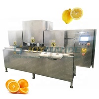 Plc Gestuurde Automatische Industriële Fruit Peeling Machine Oranje Citroen Apple Peeling Machine