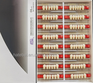 Denti dentali inferiori denti anteriori resina sintetica denti due strati resina acrilica denti - Product Image 1