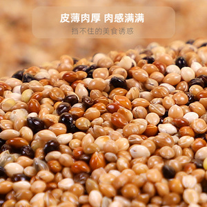 Alimentation pour oiseaux Crown Asia Parrot Bird Food Millet rouge Millet cinq couleurs Alimentation nutritive pour perruches Nourriture générale pour animaux de compagnie - Product Image 1