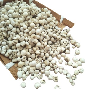 Hierba China Chuan Bei <span class=keywords><strong>Mu</strong></span>, Fritillaria Cirrhosa Seca, Bulbo de Fritillaria Cirrhosa de Alta Calidad - Product Image 1