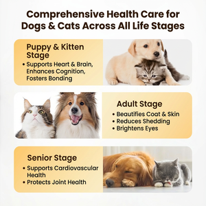 Complément nutritionnel probiotique pour chiens et chats OEM : contient des microbes intestinaux, comprimés probiotiques à mâcher pour animaux de compagnie et comprimés de soins de santé pour animaux de compagnie - Product Image 5
