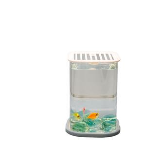 Klein Milieuvriendelijk Glazen Aquarium Met Luchtpomp En Nachtlampje 2.5l Desktop Aquarium Cadeau-Item - Product Image 2