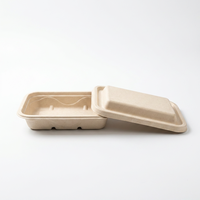 Hete Aanbieding Biologisch Afbreekbare Wegwerp Lunchbox 750ml Rechthoekig Suikerriet Bagasse Magnetronbestendig Recycleerbaar Voedselcontainer Passend