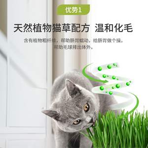 <span class=keywords><strong>Pasta</strong></span> Avanzata Eco-Friendly con Olio di Pesce Norvegese e Erba Gatta per Gatti - Sicurezza Assoluta e Cura Digestiva per Animali Domestici - Product Image 5