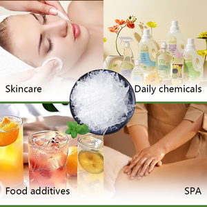 중국 도매 대량 식품 등급 25kg 드럼 멘톨 크리스탈 민트 순수 천연 멘톨 크리스탈 - Product Image 6