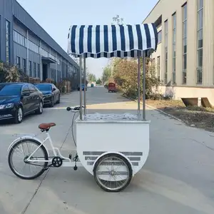 Hochwertiges Dreirad-Gefrier rad, Fahrrad-Eis wagen mit 200l Kühlschrank