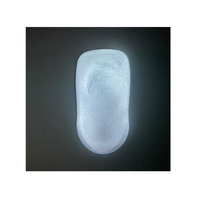 Polvo de pigmento que brilla en la oscuridad, polvo de aluminato de estroncio, precio de polvo luminoso, pigmento luminoso, pigmento fotoluminiscente