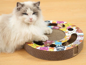 Griffoir pour chat en carton ondulé rond avec boule interactive et clochette, jouet de griffage pour chaton, jeu d'intérieur - Product Image 3