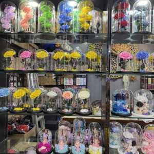 Regali di San Valentino 2025: <span class=keywords><strong>Rose</strong></span> Stabilizzate con Luci in Cupola di Vetro per Regali di Natale - Product Image 6